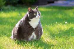 /image/1792368483640043