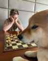 /image/1792369996685948