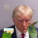 /image/1792386287874171