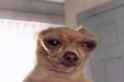 /image/1792423875580968