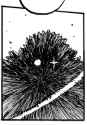 /image/1792447196334528