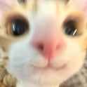 /image/1792448957963340