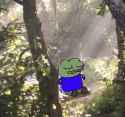 /image/1792487730957832