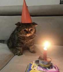 /image/1792671218266906