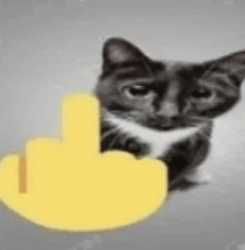/image/1792707324142722