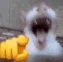/image/1792710209537162