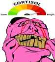 /image/1792725648834242