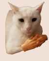 /image/1792785822186856