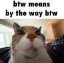 /image/1792789681374124