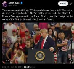 /image/1792800096729480