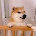 /image/1792851186133361