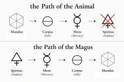 /image/1792970812753298