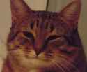 /image/1792982905181789