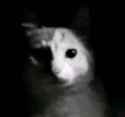 /image/1793018315014530