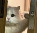 /image/1793019225820694