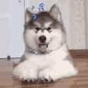 /image/1793033412334843