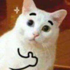 /image/1793045683182403