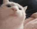 /image/1793046290818652