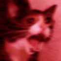 /image/1793070329849224