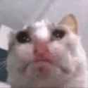 /image/1793071076929724