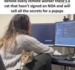 /image/1793229688539286
