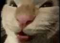 /image/1793229835745770