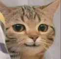 /image/1793263912477766