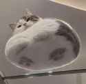 /image/1793268906236310