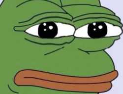 /image/1793295088546989