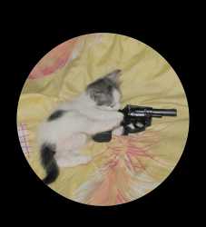 /image/1793329619667855