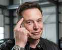 /image/1793342559335092