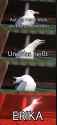 /image/1793350303142995