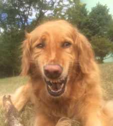 /image/1793412141517940