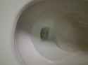 /image/1793412686050436