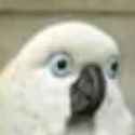 /image/1793417001341935
