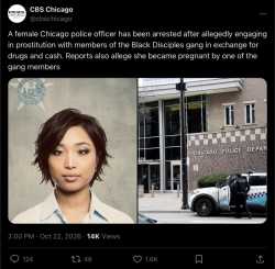 /image/1793426651807488
