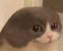 /image/1793428804697593