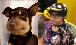 /image/1793429690545717