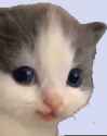 /image/1793444160495372